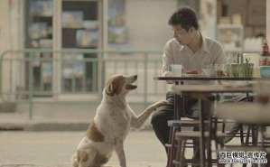 泰國(guó)宣傳片廣告的制作(zuò)創意